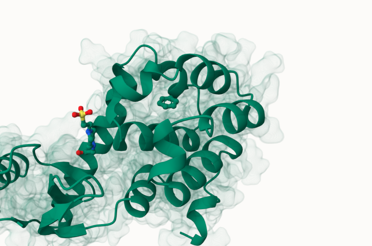 Ligand-X: Automated Protein Simulation Platform